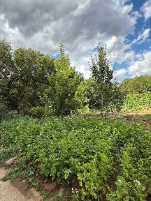 Продается дача торг есть! Дача полностью подготовлен к след сезону