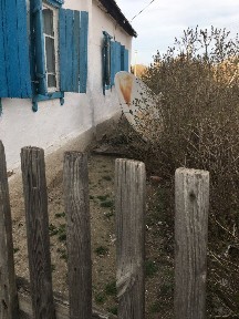 Продам дом в сельской местности с домашней утварью.
