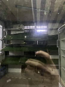 Аренда коммерчесий помещений