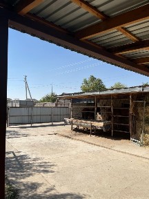 Қайнар құс ауылында Үй сатылады 14,5×12