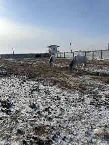 Продаются баз от города 15км