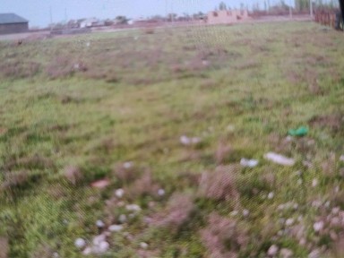 Уй сатылады Шауілдірде
