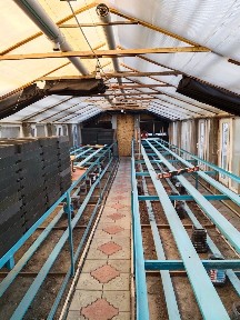 Сдам в аренду помещение-теплица
