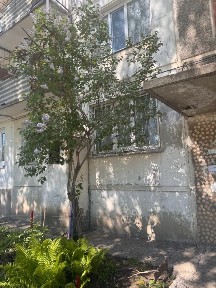 2х комнатная квартира в п. Усть-Таловка