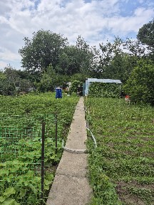 Продам дачу на Кривом озере