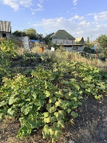 Продается дача в ПКС Мерекелік