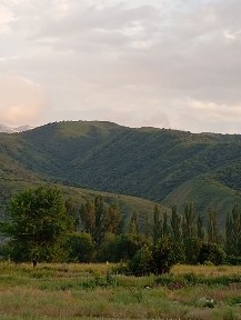 Продается дом-дача