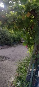 Продается земельный участок 9.7 сотки с домом в Атырау рядом с рекой
