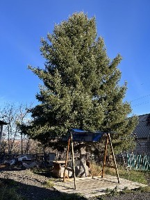 Продам дачу с/о Текстильщик