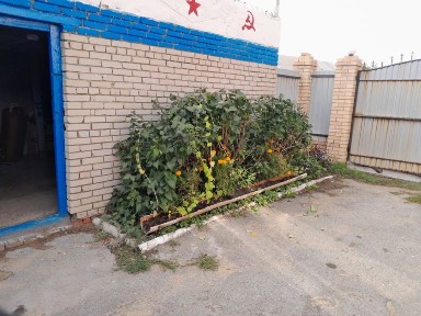 Продам дом с. Аулиеколь