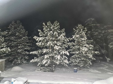 Сдаетс в аренду кафе
