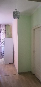 Продам 1 комнатную квартиру Лесная Поляна дом 2