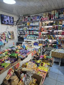 Частный дом с магазином