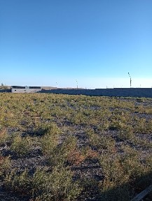 Сдается в аренду участок 1 га. Огороженный