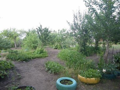 Дача 12 соток СО Текстильщик-2