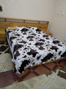 Карагандинская область, Караганда, Казыбекбийский район