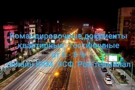 Квартиры посуточно. Командировочные документы, ЭСФ.